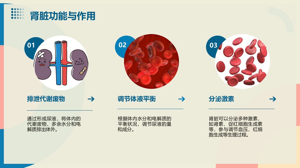 慢性肾脏病健康宣教PPT课件8