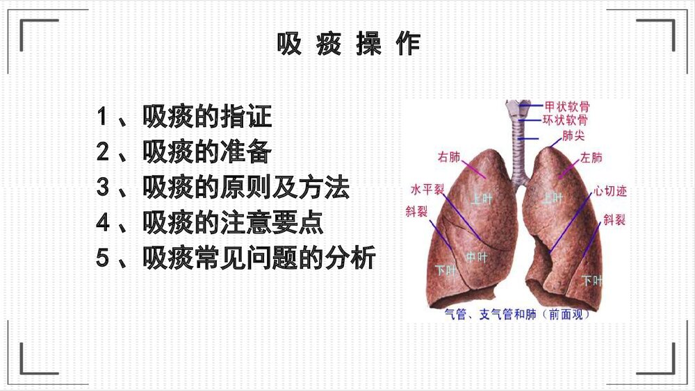 吸痰技术的应用PPT课件下载3