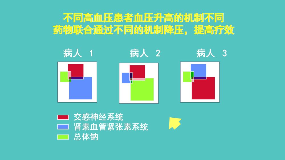 治疗心血管病药物的合理应用PPT课件8