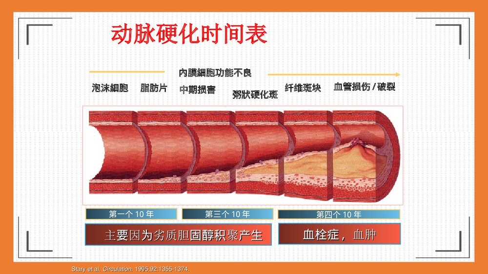 心脑血管疾病的预防及饮食调理PPT课件下载7