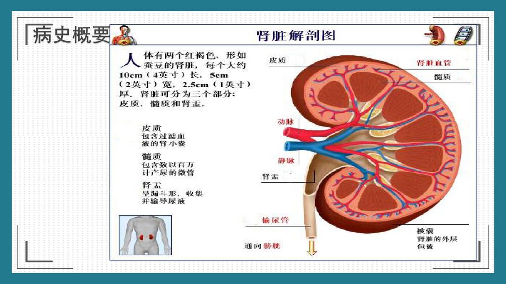 慢性肾脏病的护理健康宣教PPT课件5