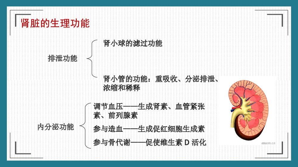 慢性肾脏病的护理健康宣教PPT课件7