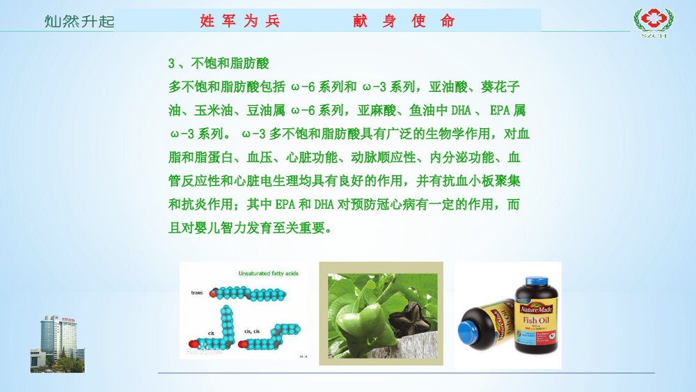 心血管疾病营养处方专家共识解读PPT课件下载10