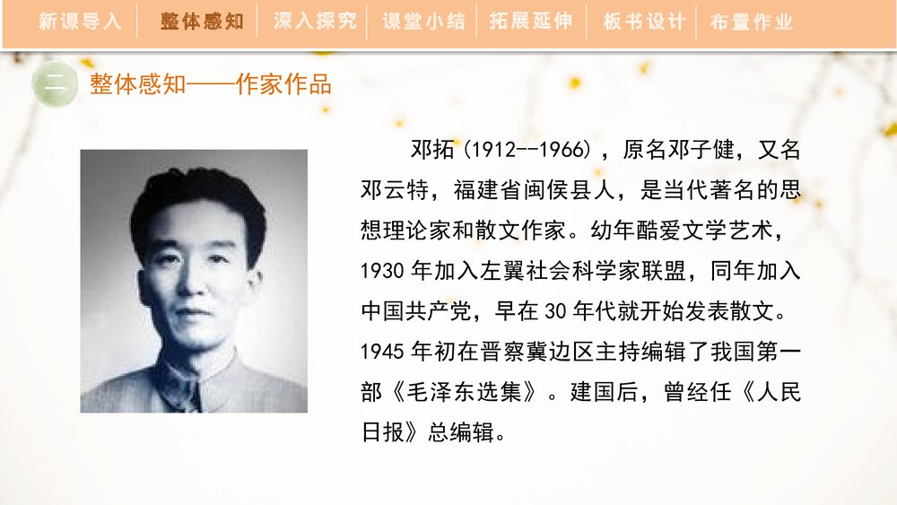 部编版初中语文九年级下册《不求甚解》PPT精品课件下载4