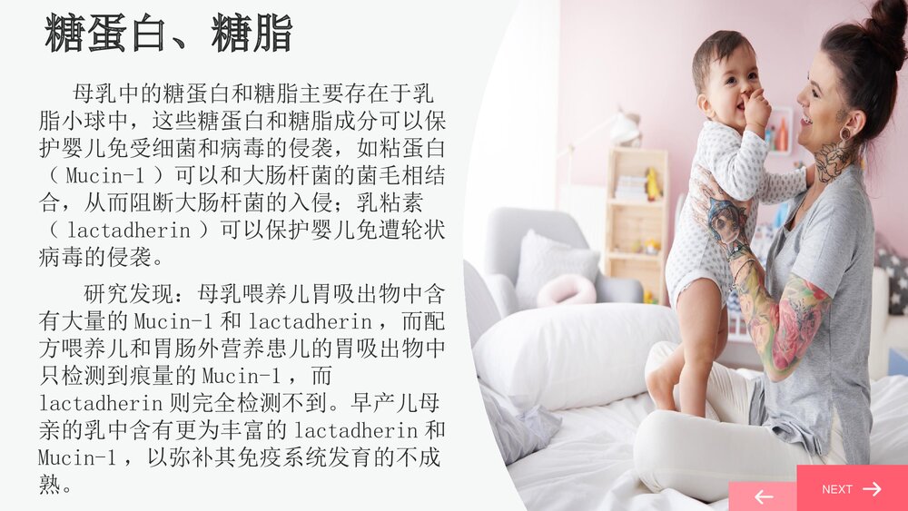 母乳喂养与婴儿生长PPT课件下载8