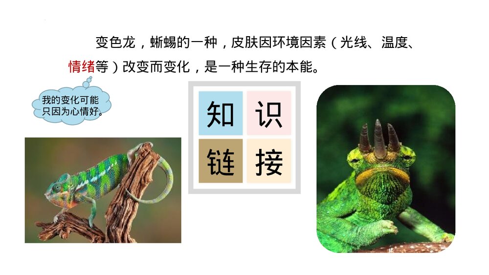 《变色龙》九年级部编版语文下册PPT优质课件7