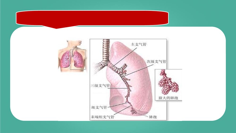 尘肺病的防治PPT课件下载9