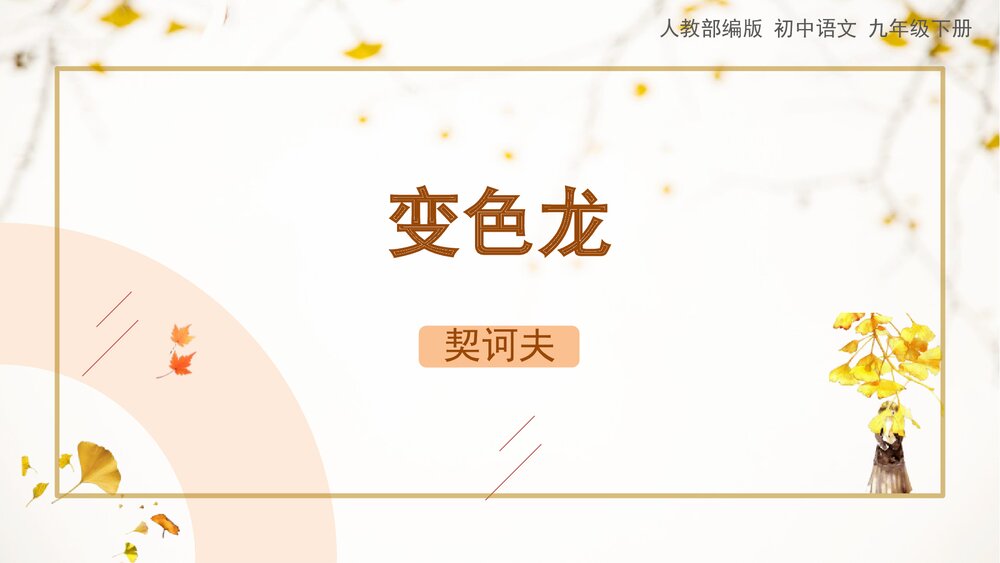 《变色龙》人教部编版九年级语文下册PPT精品课件1