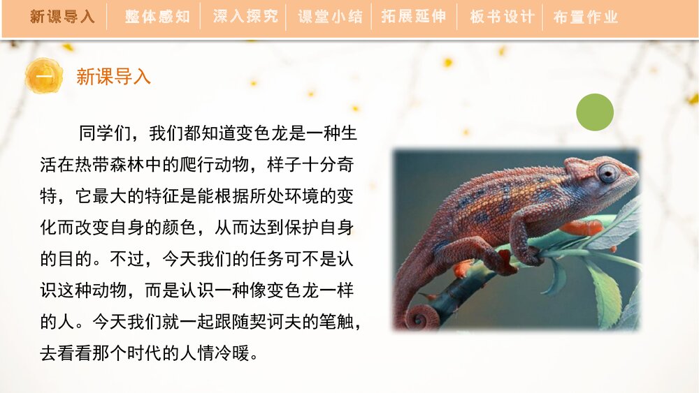 《变色龙》人教部编版九年级语文下册PPT精品课件4