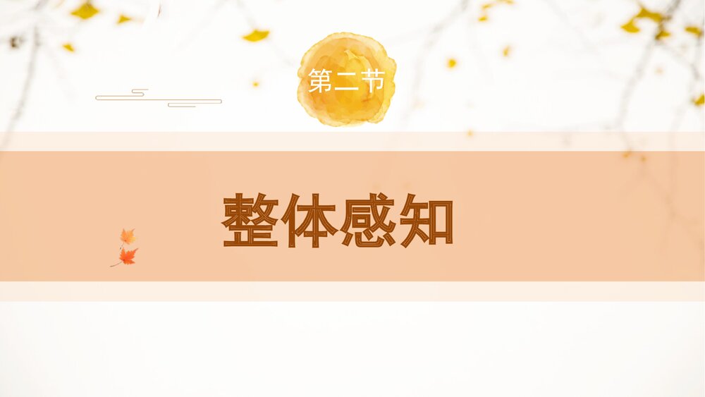 《变色龙》人教部编版九年级语文下册PPT精品课件5