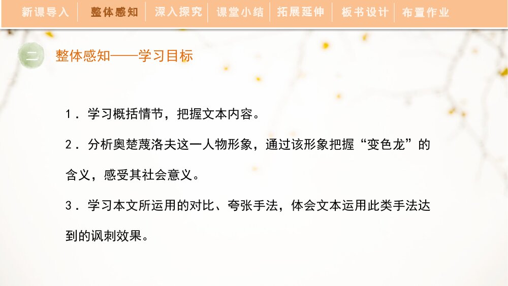 《变色龙》人教部编版九年级语文下册PPT精品课件6