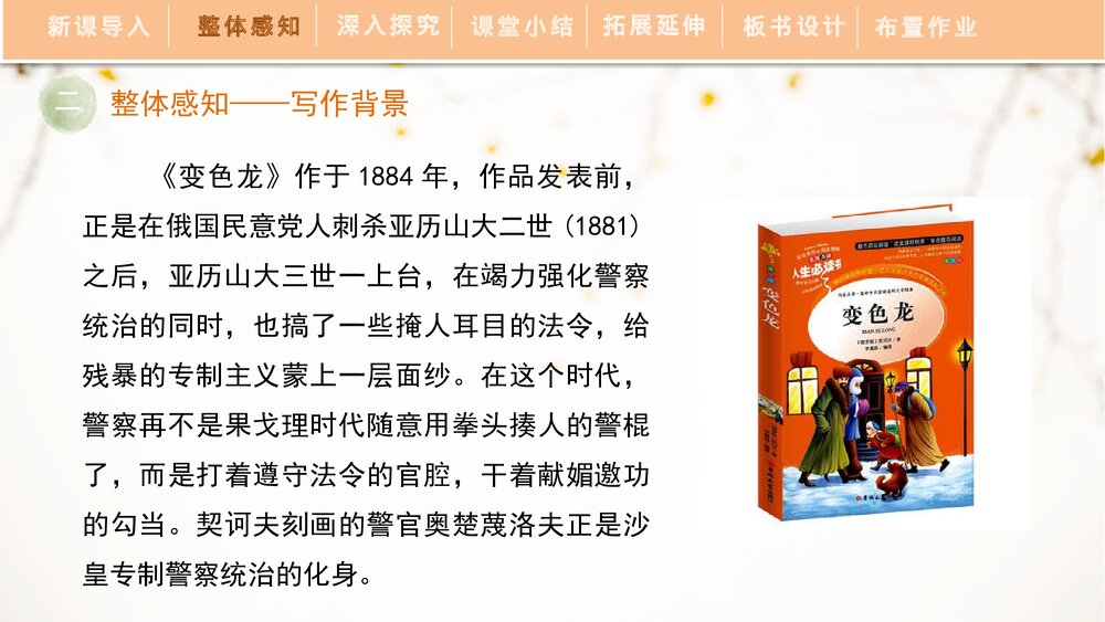 《变色龙》人教部编版九年级语文下册PPT精品课件8