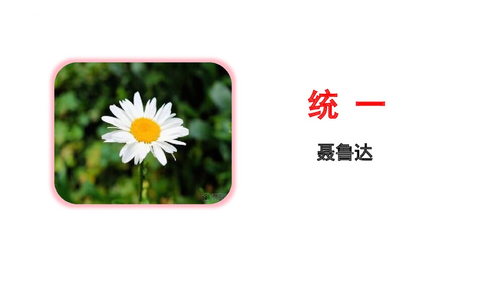 《统一》九年级语文下册部编版PPT课件1