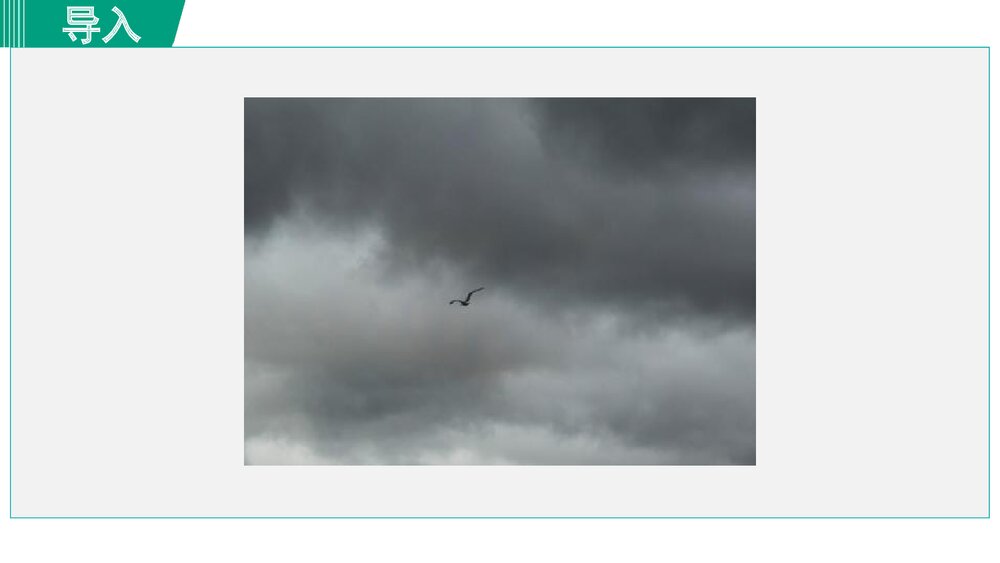 《海燕》部编版九年级语文下册PPT课件(第1课时)3