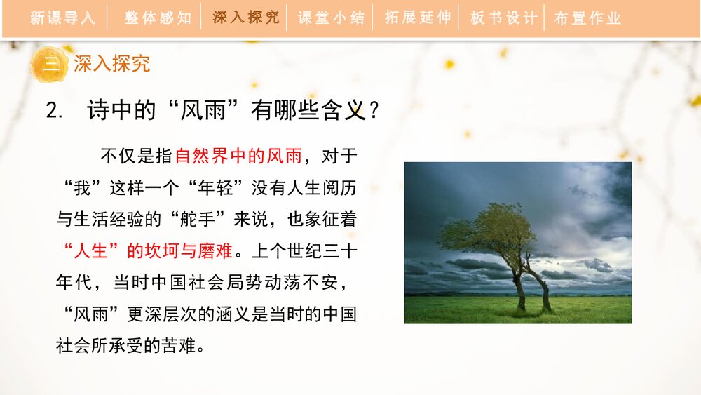 《风雨吟》部编版九年级语文下册PPT课件下载9