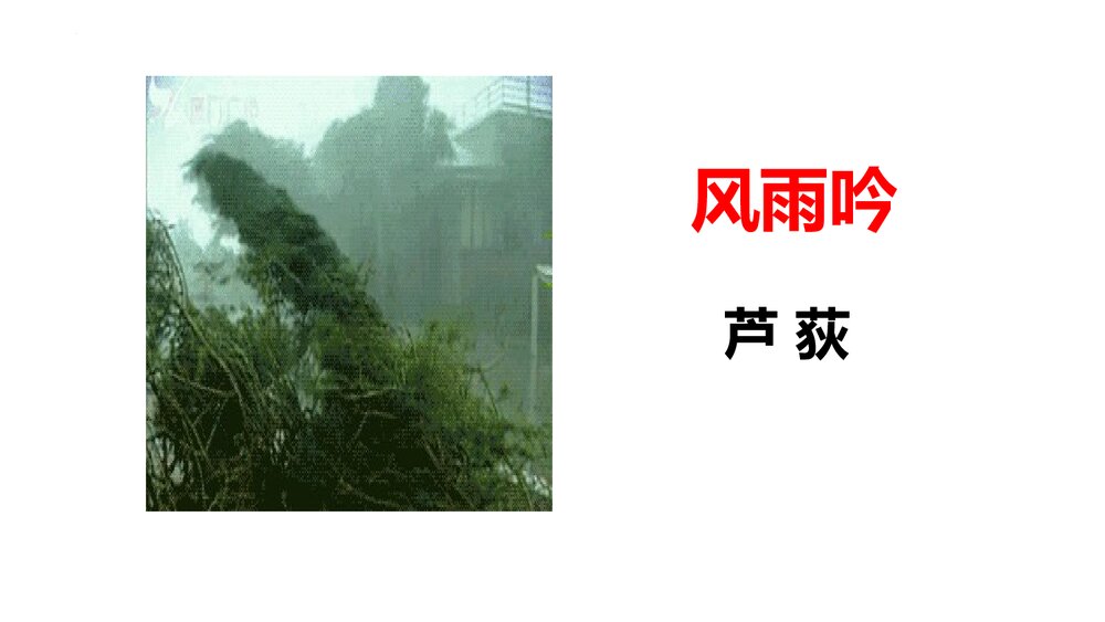 《风雨吟》九年级语文下册部编版PPT课件下载1