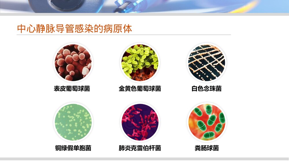 血液透析中心静脉导管感染的护理管理PPT课件下载10