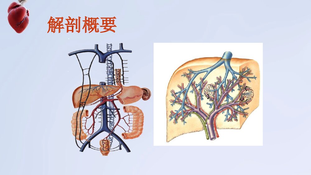 门静脉高压症病人护理PPT课件下载6