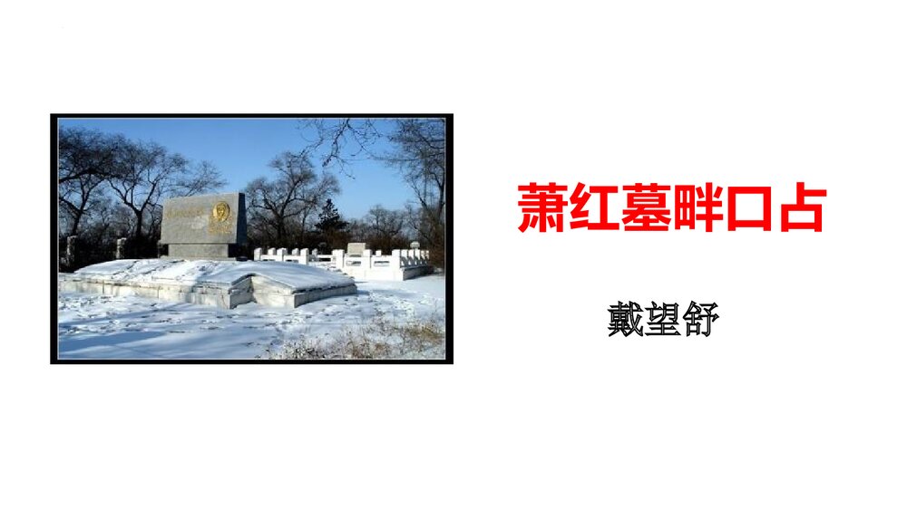 《萧红墓畔口占》九年级部编版语文下册PPT课件下载1