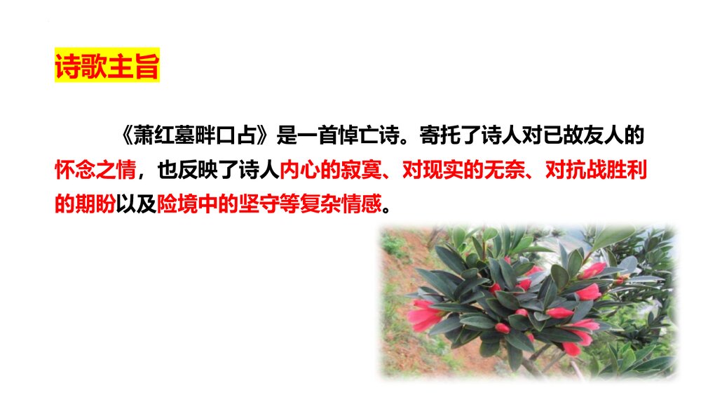 《萧红墓畔口占》九年级部编版语文下册PPT课件下载8