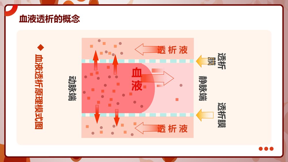 血液透析及并发症知识培训PPT课件下载10