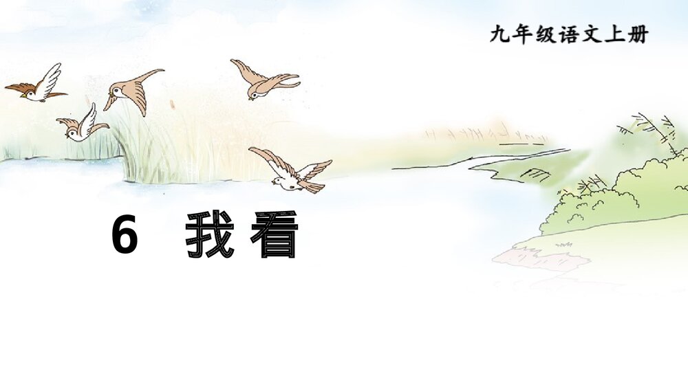 九年级语文上册《我看》PPT教学课件1