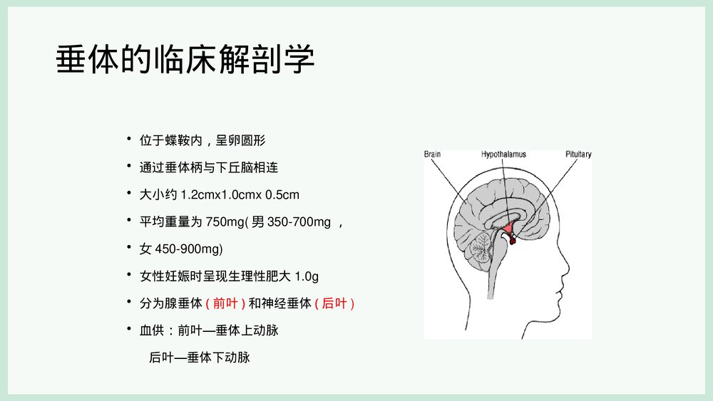 席汉氏综合征PPT课件下载 5