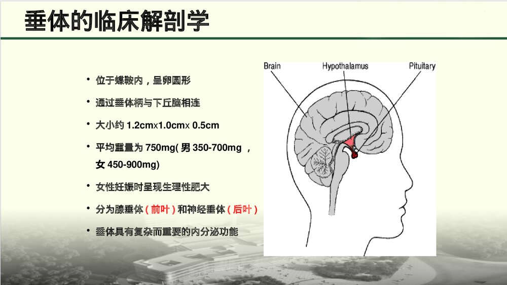 席汉氏综合征ppt课件5
