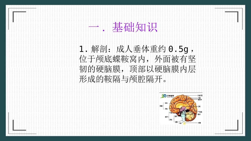席汉氏综合征治疗护理PPT课件3