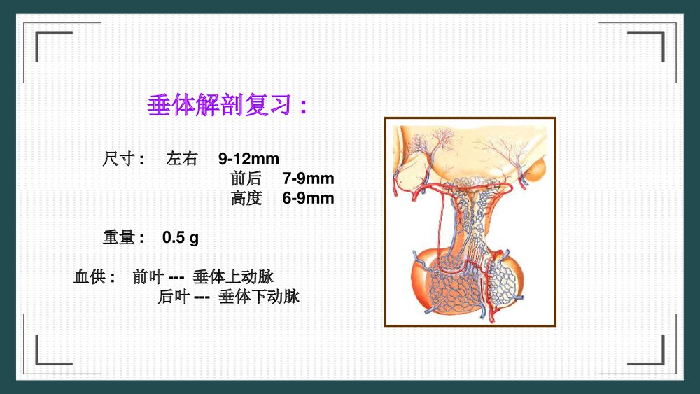 席汉氏综合征治疗护理PPT课件4