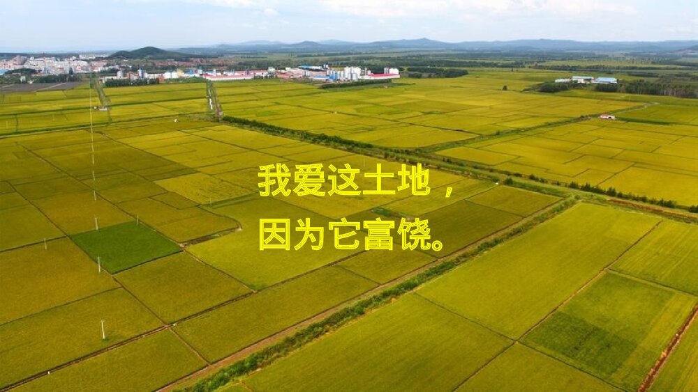 九年级语文上册《我爱这土地》PPT教学课件3