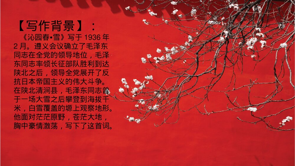 《沁园春·雪》九年级语文上册部编版PPT教学课件5