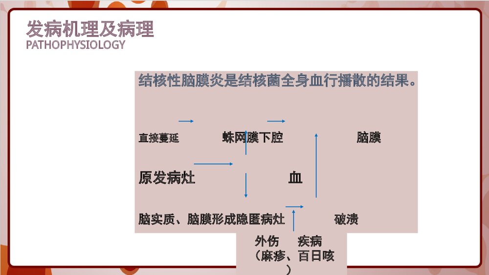 结核性脑膜炎的护理PPT课件3