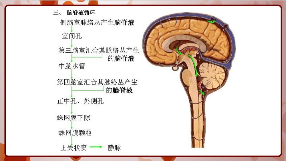 结核性脑膜炎的护理PPT课件7
