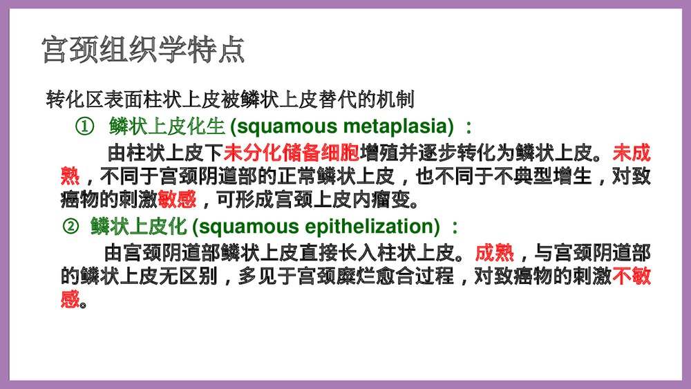 宫颈癌培训泡泡堂课件下载9