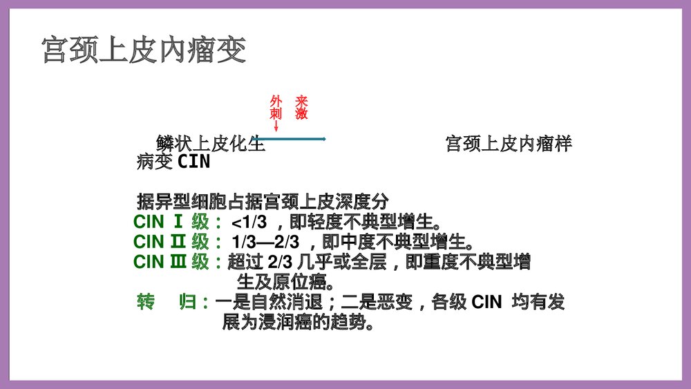 宫颈癌培训泡泡堂课件下载10
