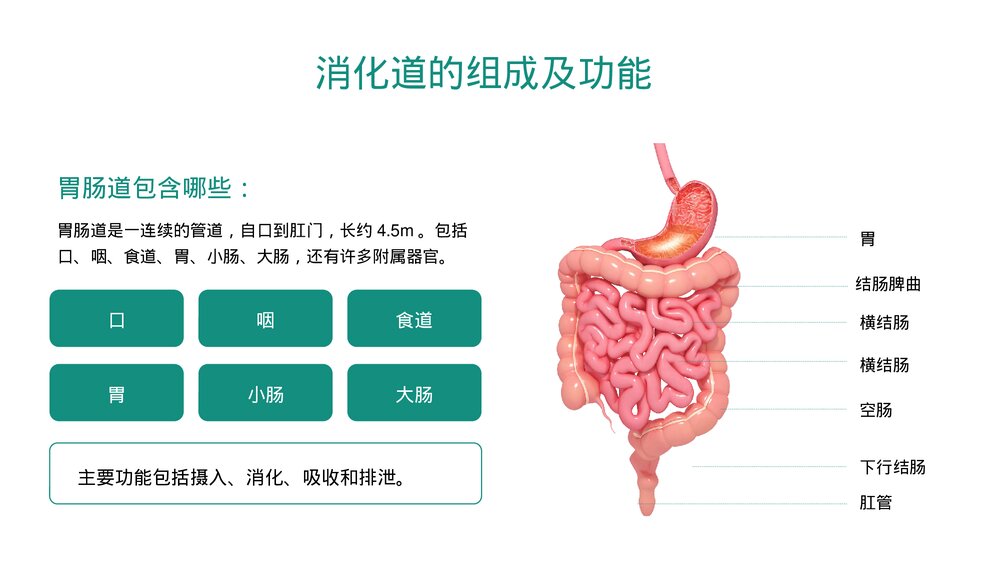 肠内营养医疗护理及健康指导科普知识PPT课件下载5