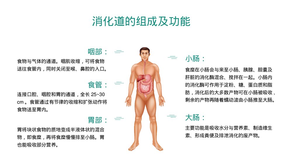 肠内营养医疗护理及健康指导科普知识PPT课件下载6