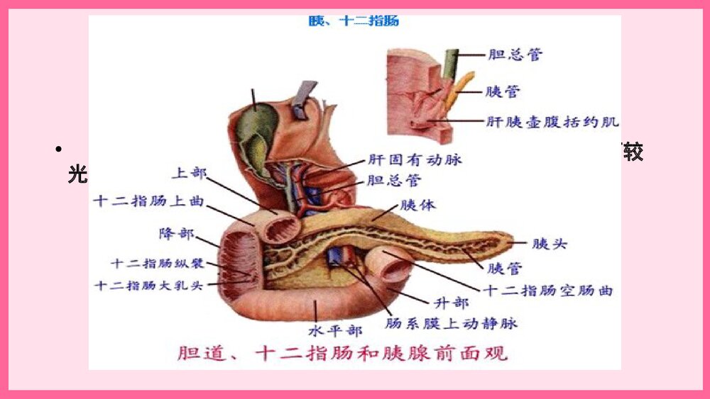 消化道穿孔术后护理查房PPT课件4