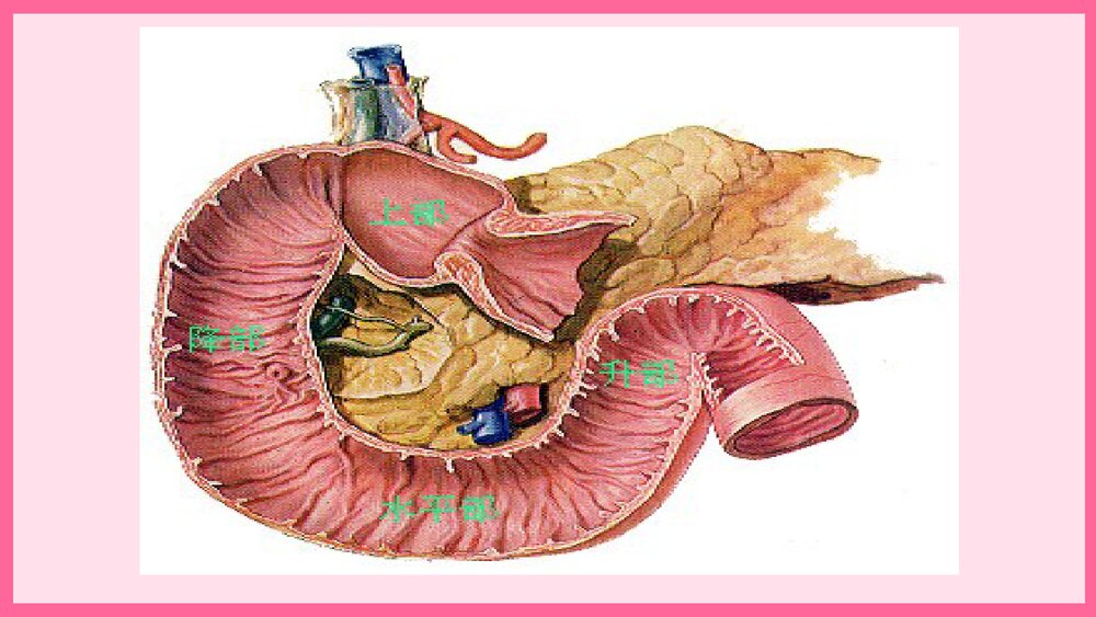 消化道穿孔术后护理查房PPT课件5