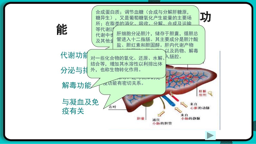 肝脏常用实验室检查PPT课件下载5
