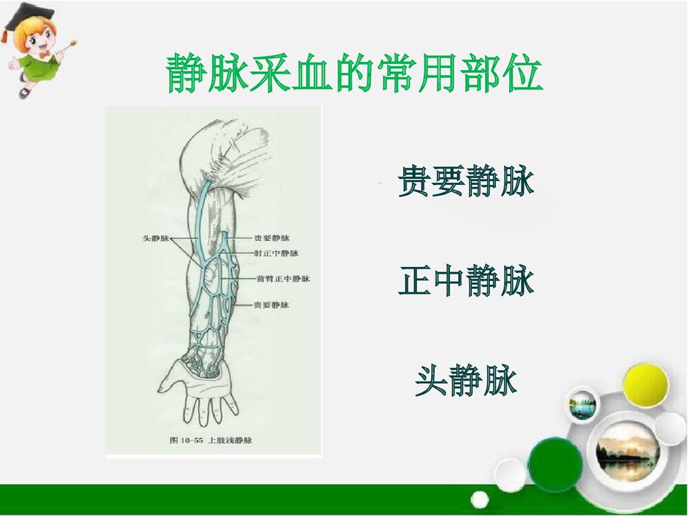 静脉采血的注意事项PPT课件下载5