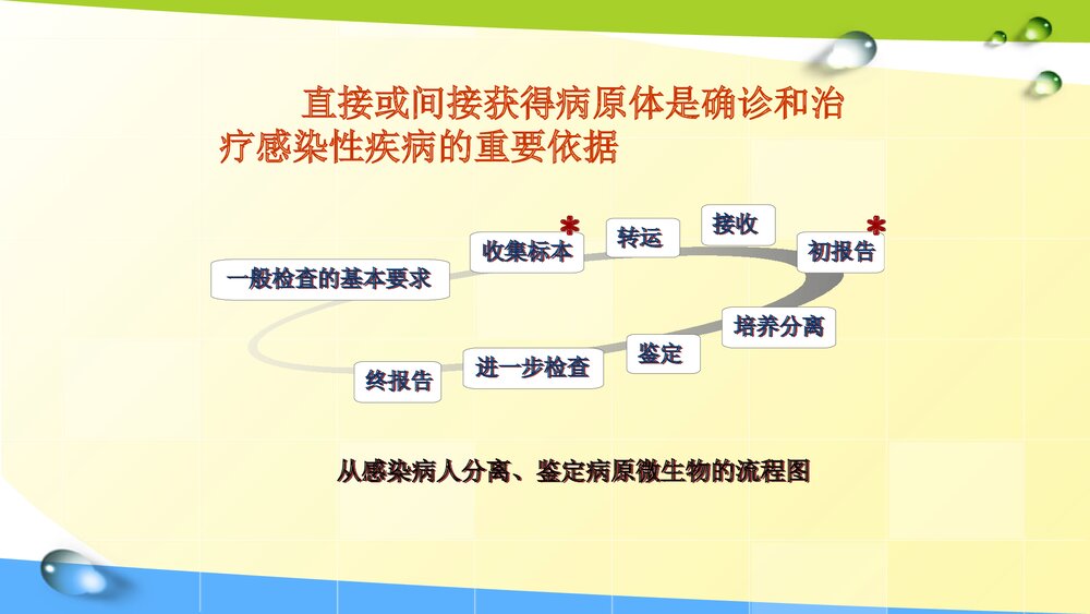 痰标本采集与结果判读讲课PPT课件4