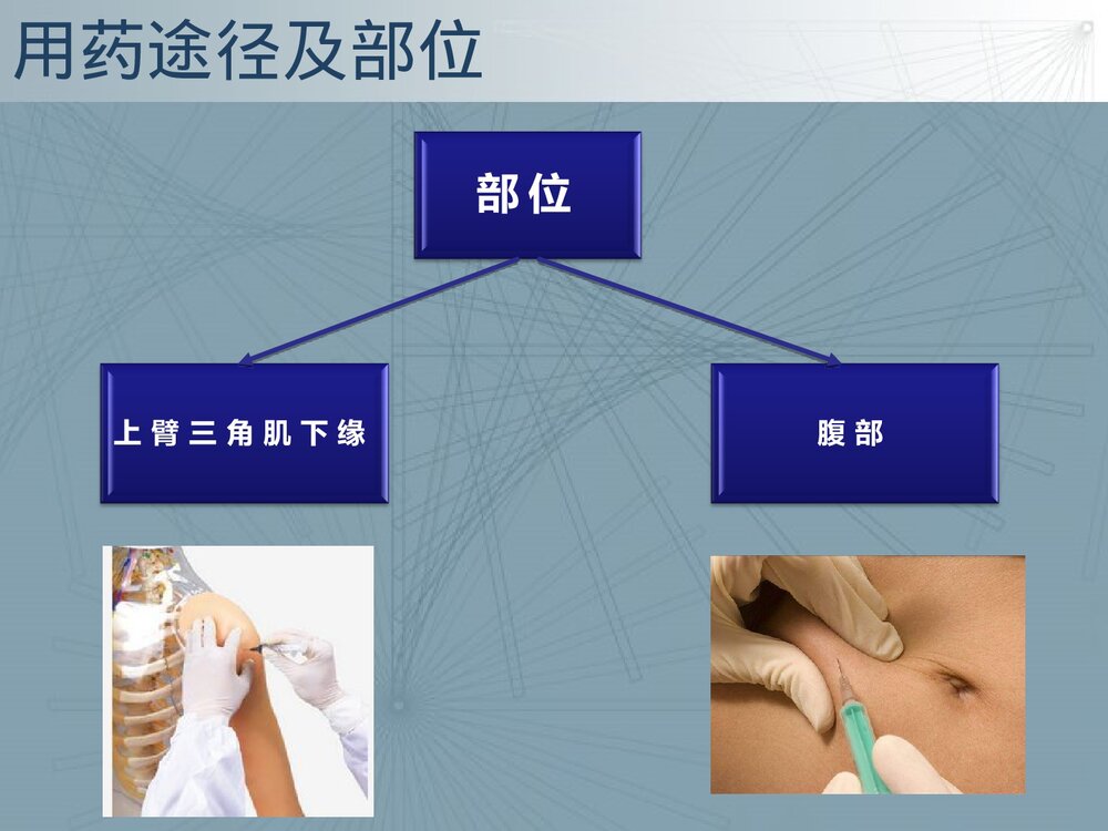低分子肝素钙皮下注射皮下出血的原因及护理对策PPT课件下载6