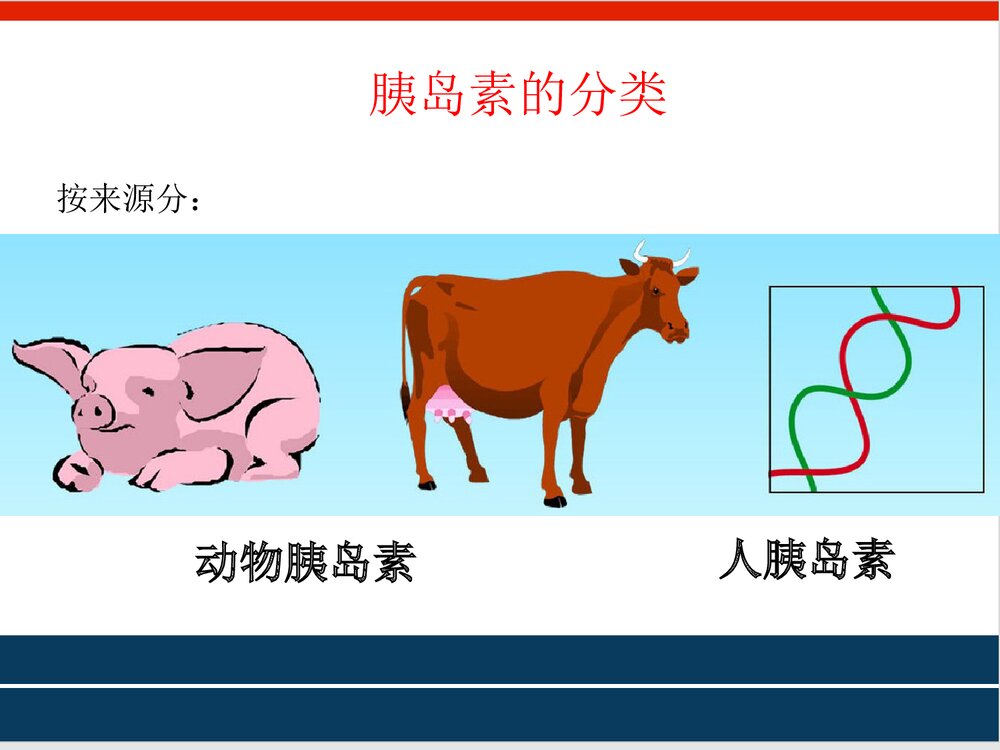 胰岛素皮下注射PPT课件下载5