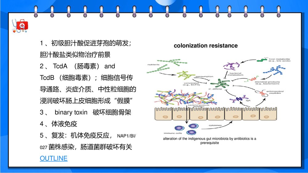 艰难梭菌感染性腹泻PPT课件下载6