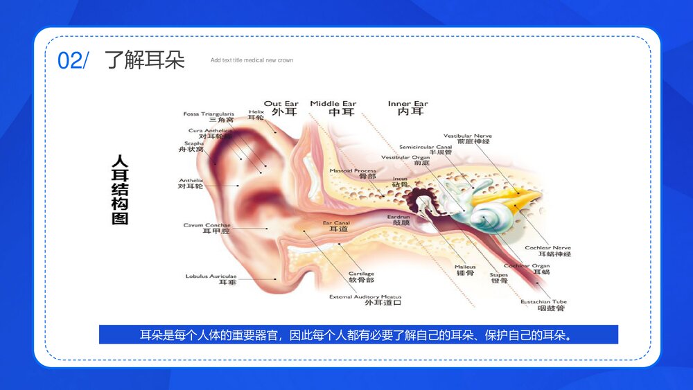 全国爱耳日主题班会宣传介绍PPT课件10