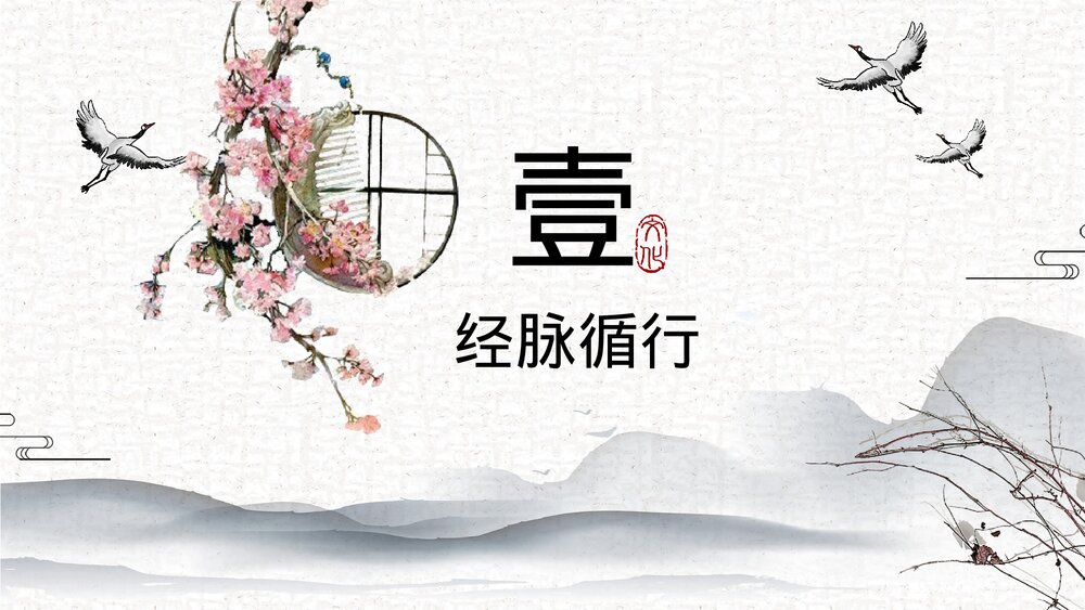 中医足少阳胆经详解PPT课件下载3