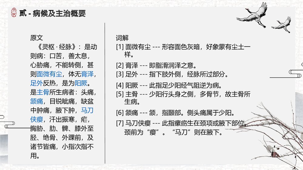 中医足少阳胆经详解PPT课件下载7