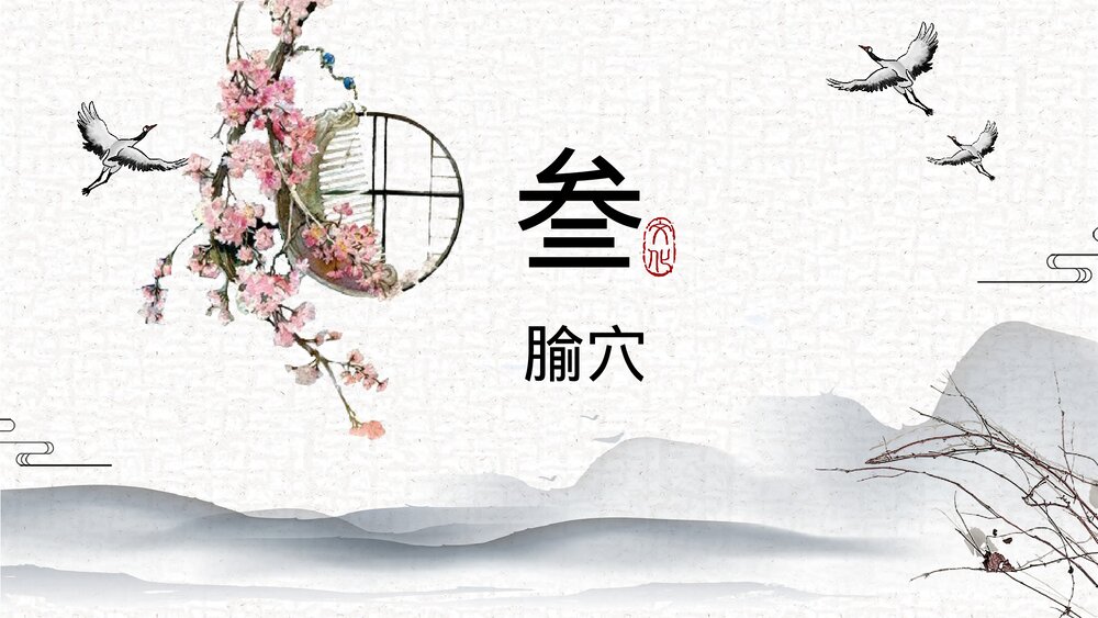 中医足少阳胆经详解PPT课件下载10